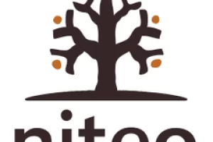 niteo africa